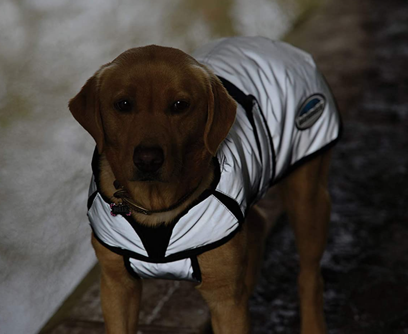 WeatherBeeta Reflective Dog Coat Silver-2